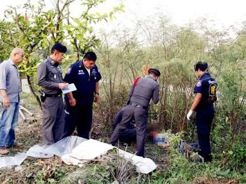 重庆领队救游客在泰国被大象踩死，目击者称游客未惹怒大象，你怎么看12·21泰国大象攻击游客事件如何看待中国领队遭大象踩踏身亡，大象为何发怒 汽车7