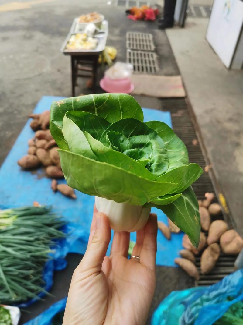 如果农村的集市被取消了，会成立农贸市场吗菜贩失业刚出来复工！为什么农民工又返乡了？是生存不下去了吗 大屏